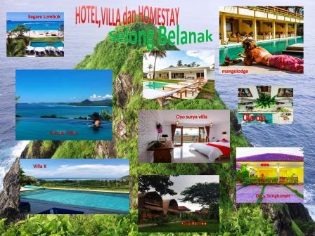 Villa,Hotel dan Homestay di Desa Selong Belanak